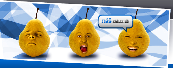 Zákazník účetní kanceláře Aduka